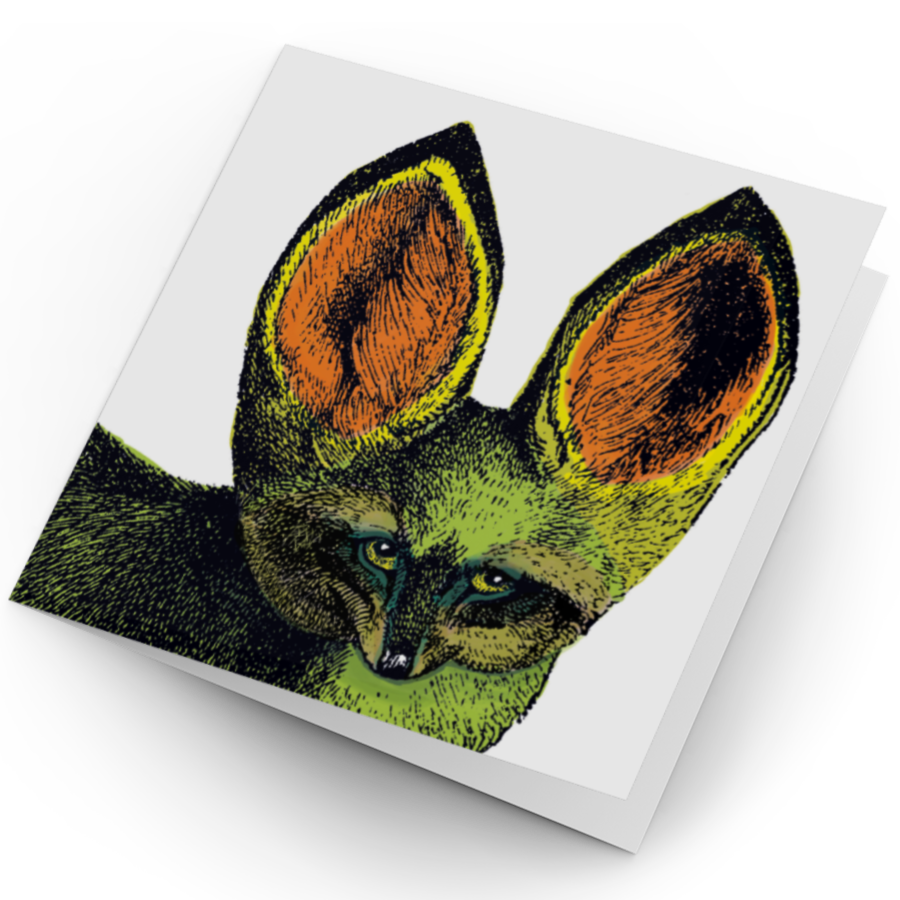 Bat-eared Fox Card
